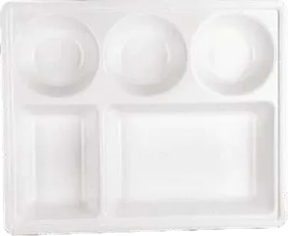 Nayasa Dinner Partition Plate — Microwave Safe Plates & Bowls