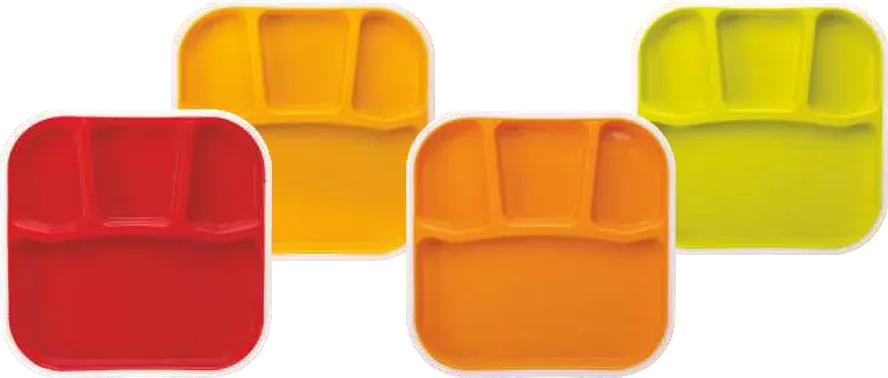 Nayasa Partition Plate Plain — Microwave Safe Plates & Bowls